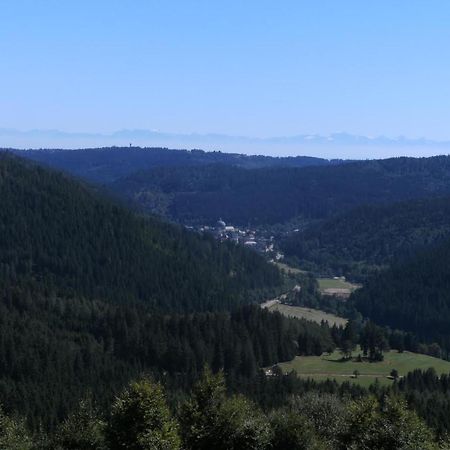 Apartament Haus Aretz Feldberg  Zewnętrze zdjęcie