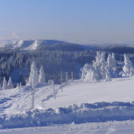 Apartament Haus Aretz Feldberg  Zewnętrze zdjęcie