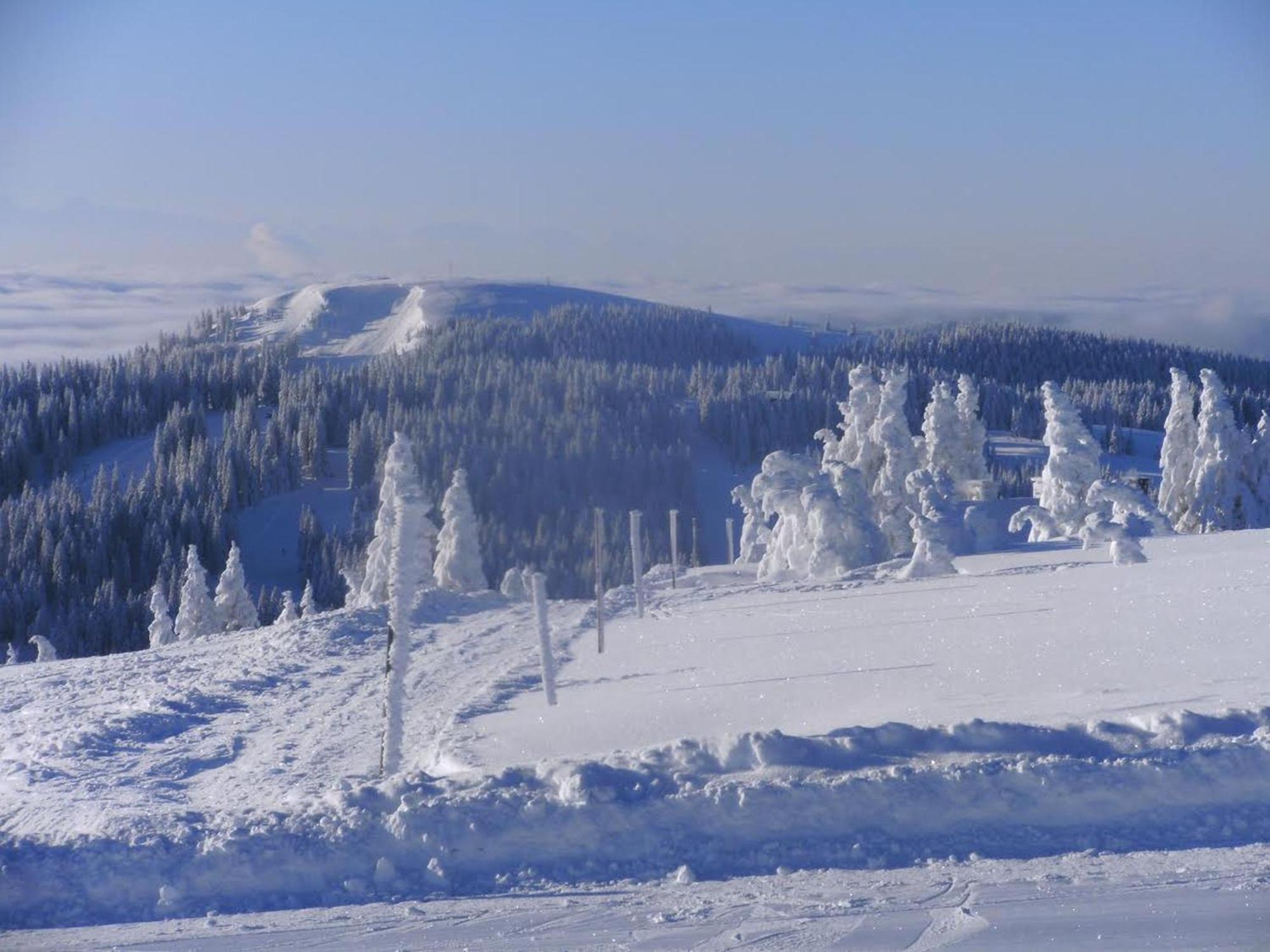Apartament Haus Aretz Feldberg  Zewnętrze zdjęcie