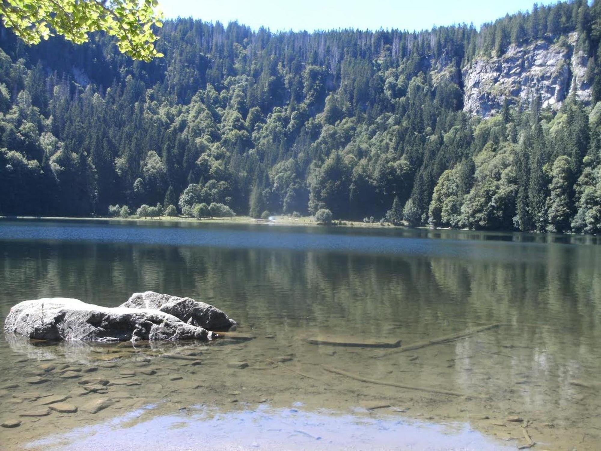 Apartament Haus Aretz Feldberg  Zewnętrze zdjęcie